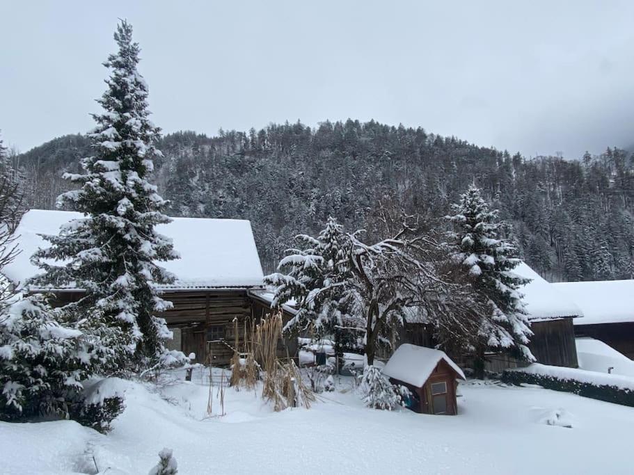 Panorama Wohnung Rungelin Bludenz Экстерьер фото